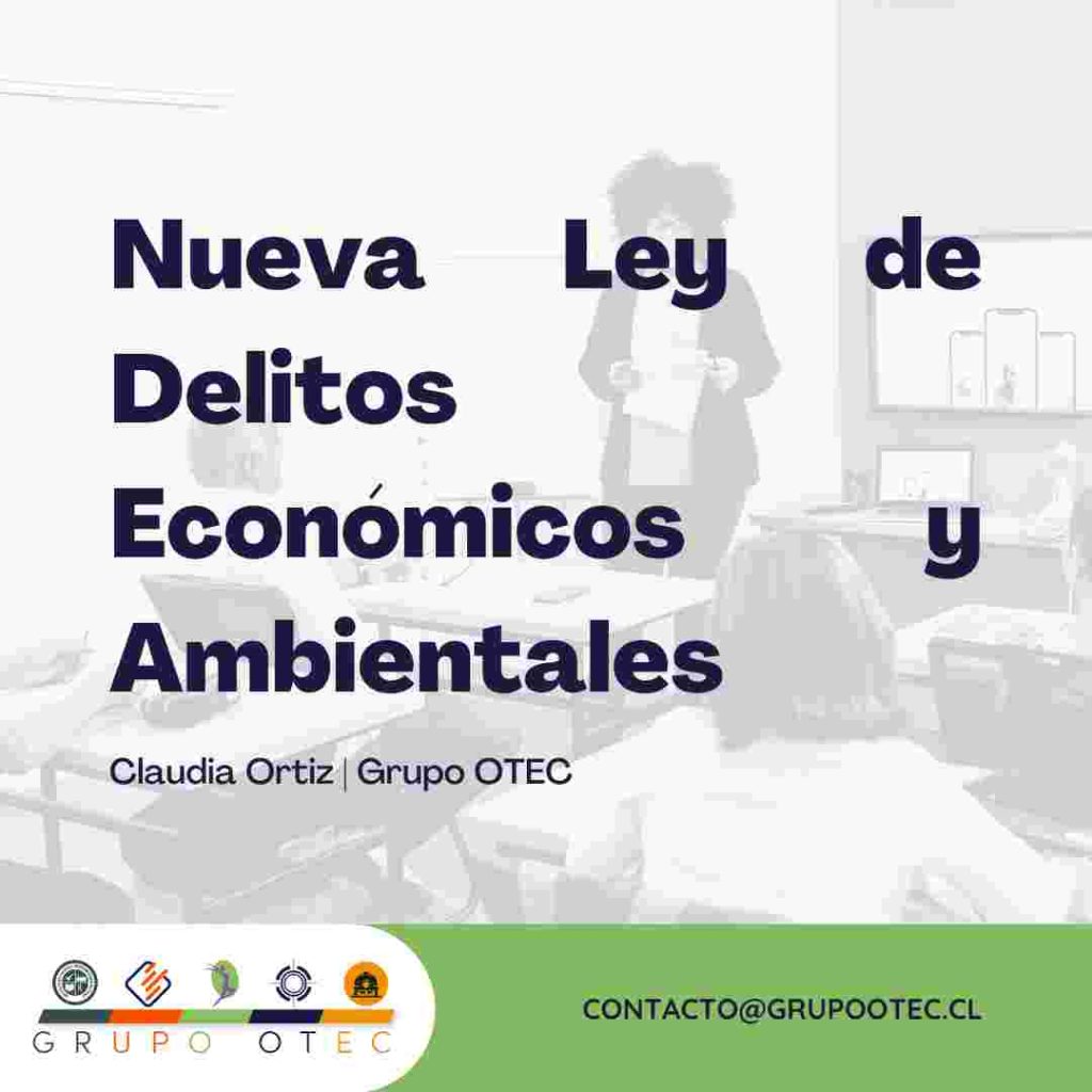 Nueva ley delitos economicos